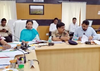 समन्वय बनाकर एमओयू में जल्द उत्पादन शुरू कराएं उपायुक्त उद्योग: डीएम