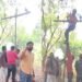 बांस-बल्ली के सहारे दौड़ रही बिजली, दे रही हादसे को दावत