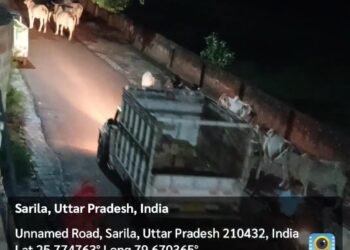 *पूर्व में मृत भूखे गौवंश की ख़बरें भी बनी थी सुर्खिया फिर भी नहीं सुधरा नगर पंचायत प्रशासन