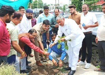 बैंक आफ बड़ौदा ने किया वृहद वृक्षारोपण