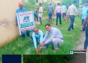 हमीरपुर: सरीला में ‘एक पेड़ मां के नाम 2.0’ अभियान की शुरुआत