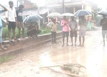 मंडल महामंत्री साहिल शर्मा की पहल से बेरूई गांव को जलभराव की समस्या से मिली राहत