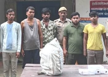 देवमई में चोरी की वारदात का पुलिस ने किया खुलासा