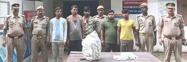 देवमई में चोरी की वारदात का पुलिस ने किया खुलासा