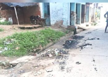 सफाई कर्मी महीनो से नदारद ग्रामीणों में आक्रोश 