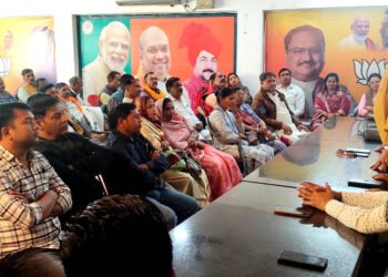 बजट में आए सभी मुद्दे जनहितकारी: विक्रम