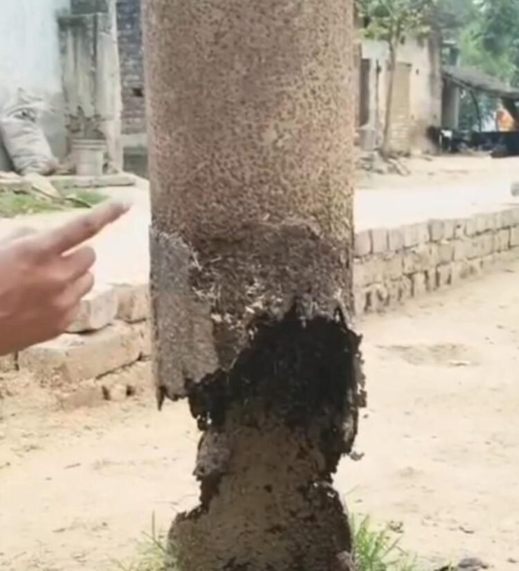 जर्जर पोल व लटकते हाई टेंशन तार से छुटकारा पाने के लिए टकटकी लगाए हैं लोग