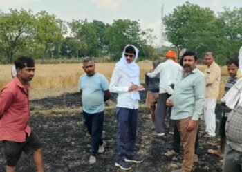 बिजली के शार्ट सर्किट से चार किसानो की ढाई बीघा फसल जलकर हुई खाक