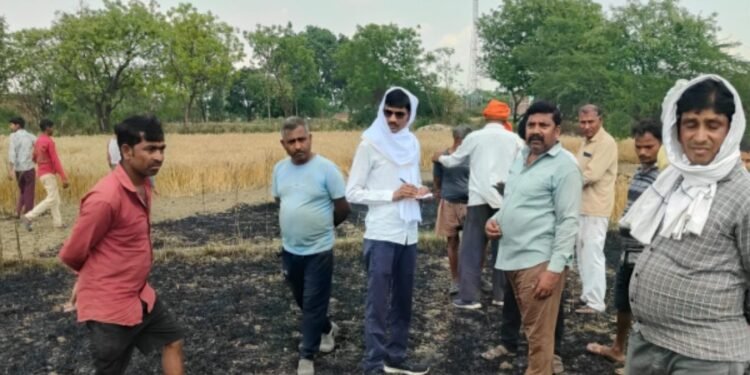 बिजली के शार्ट सर्किट से चार किसानो की ढाई बीघा फसल जलकर हुई खाक