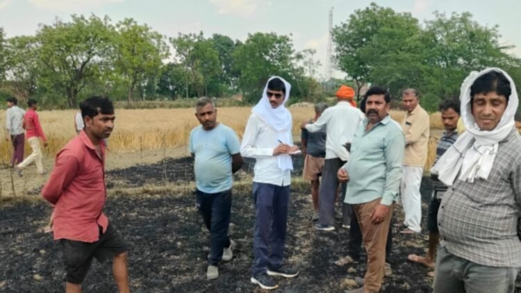 बिजली के शार्ट सर्किट से चार किसानो की ढाई बीघा फसल जलकर हुई खाक