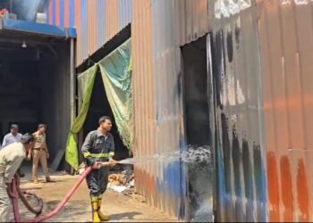 मानकों के चल रही दाल मिल में भीषण आग, लाखों का माल जलकर खाक