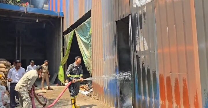 मानकों के चल रही दाल मिल में भीषण आग, लाखों का माल जलकर खाक