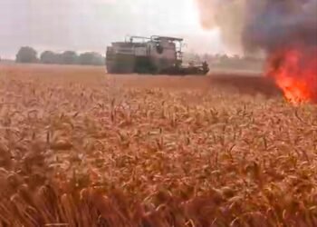 हार्वेस्टर की चिंगारी से लगी आग, 3 बीघा गेहूं की फसल खाक