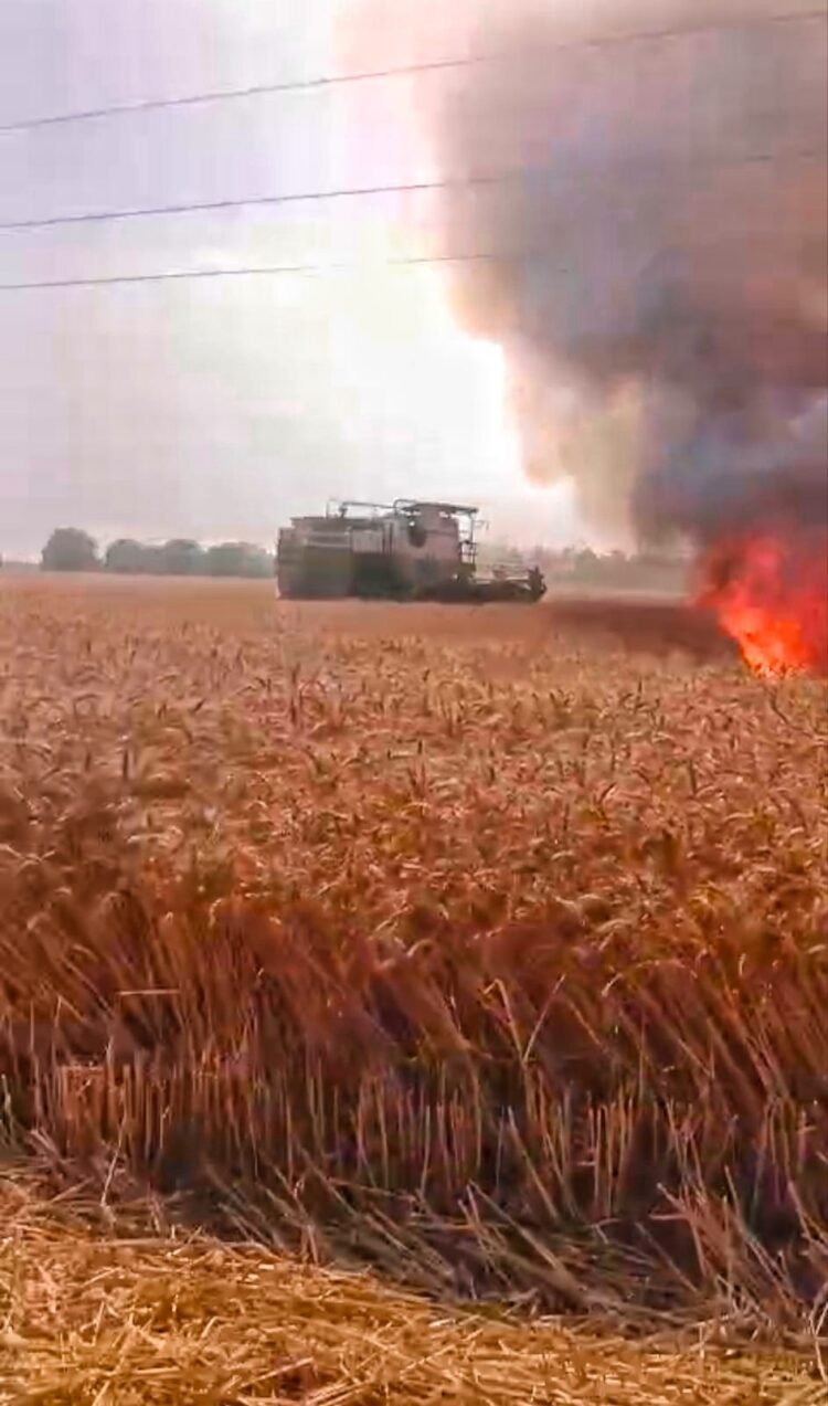 हार्वेस्टर की चिंगारी से लगी आग, 3 बीघा गेहूं की फसल खाक