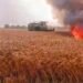 हार्वेस्टर की चिंगारी से लगी आग, 3 बीघा गेहूं की फसल खाक