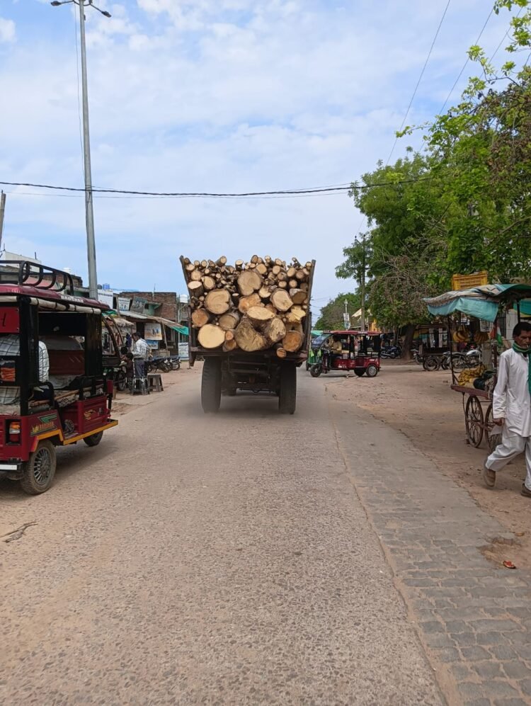 राठ में वन तंत्र पर भारी माफिया तंत्र, विधायक की आवाज भी बेअसर