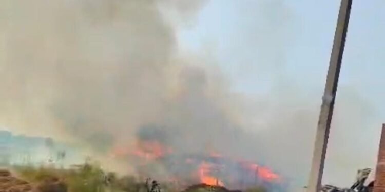 *शॉर्ट सर्किट के चलते दो मुर्गी फॉर्म जलकर हुए राख, आग लगने से हुआ लाखों का नुकसान*