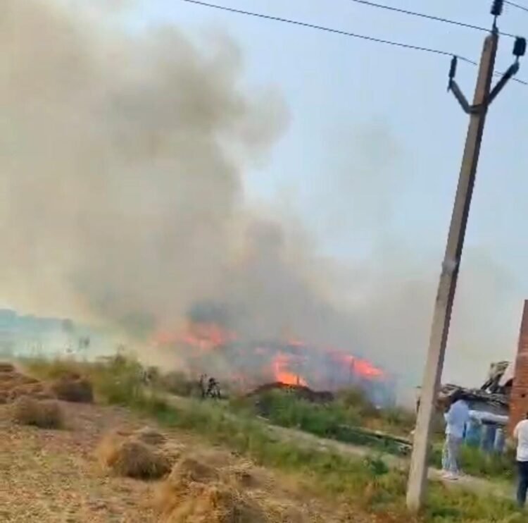 *शॉर्ट सर्किट के चलते दो मुर्गी फॉर्म जलकर हुए राख, आग लगने से हुआ लाखों का नुकसान*