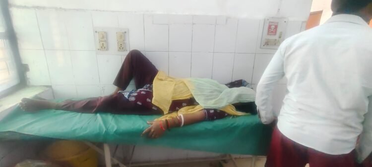 महिला शौच जाते समय बेहोश, अस्पताल में भर्ती