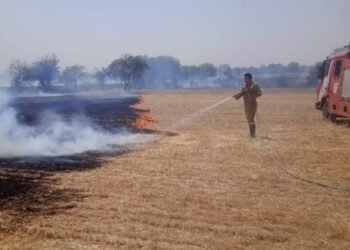 *सिवनी गांव में खेतों में लगी भीषण आग, 50 बीघा से अधिक पराली जलकर खाक*