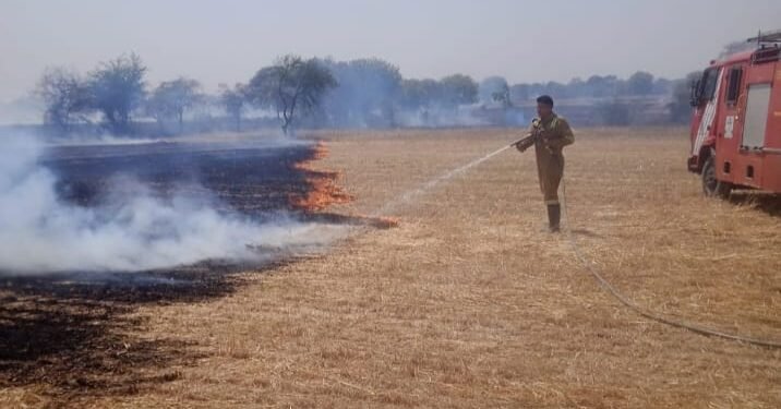 *सिवनी गांव में खेतों में लगी भीषण आग, 50 बीघा से अधिक पराली जलकर खाक*