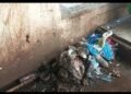 *BHU के सर सुंदरलाल अस्पताल में गंदगी का अंबार, बाल रोग विभाग में संक्रमण का खतरा*