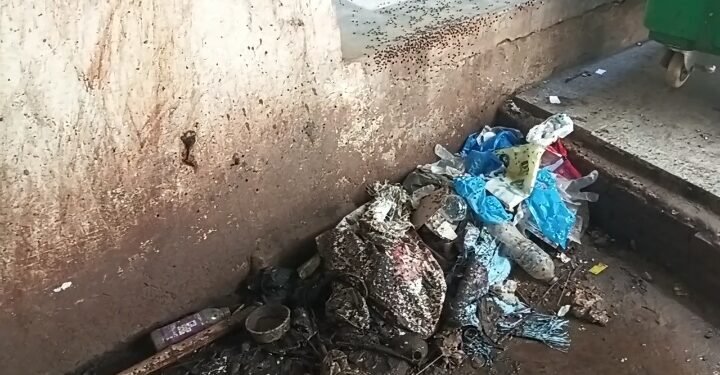 *BHU के सर सुंदरलाल अस्पताल में गंदगी का अंबार, बाल रोग विभाग में संक्रमण का खतरा*