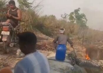 निघासन के जंगलों में लगी अवैध कच्ची शराब की भट्ठियों में आग, वायरल वीडियो से मचा हड़कंप