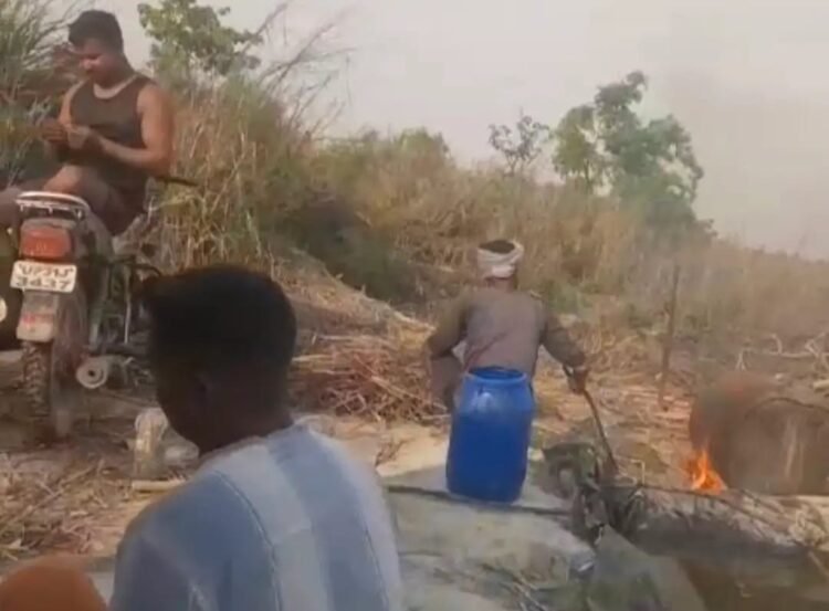निघासन के जंगलों में लगी अवैध कच्ची शराब की भट्ठियों में आग, वायरल वीडियो से मचा हड़कंप