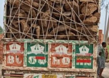 गैस संकट के चलते शहरों में बढ़ी गांवों के गोबर के उपलों की मांग