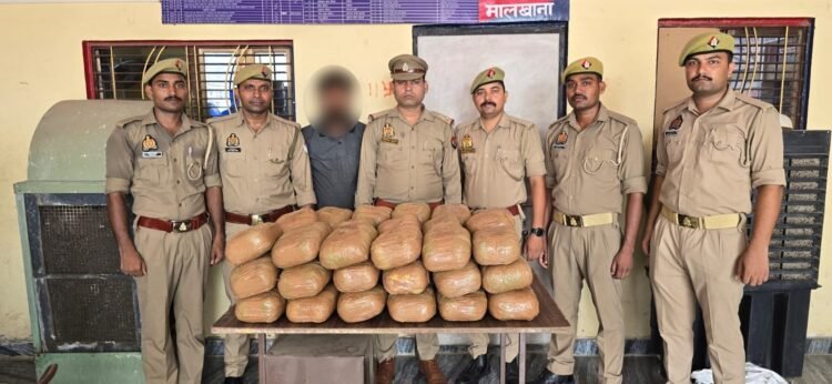 लोहता पुलिस व SOG की बड़ी कामयाबी, 15 लाख का 54 किलो गांजा बरामद