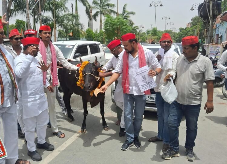कांग्रेसियों ने गाय को राष्ट्रीय पशु घोषित करने की  मांग को लेकर प्रदर्शन किया