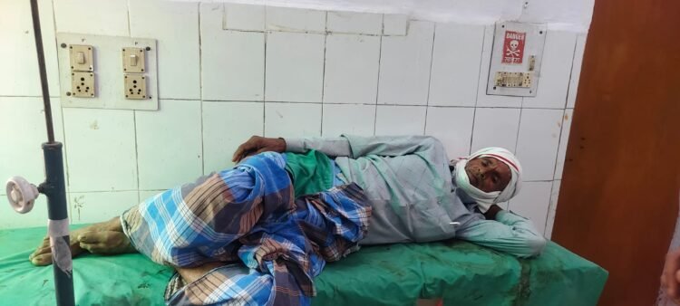 भैंस ने किसान के गुप्तांग में सींघ मारा