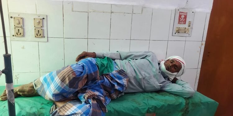 भैंस ने किसान के गुप्तांग में सींघ मारा