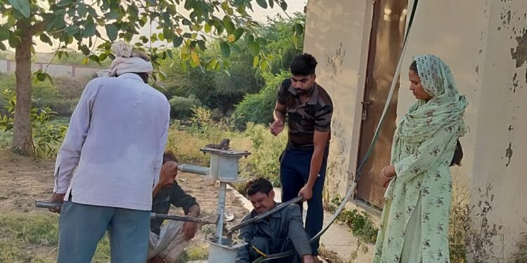 प्रधानाचार्य शबाना ने अवकाश में लगवाई नई समर