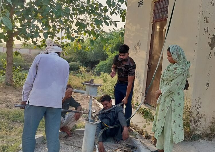 प्रधानाचार्य शबाना ने अवकाश में लगवाई नई समर