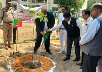*विश्व पर्यावरण दिवस पर जनपद में हुआ व्यापक वृक्षारोपण*