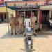 *फरधान पुलिस को बड़ी सफलता, चोरी की मोटरसाइकिल सहित शातिर चोर गिरफ्तार*