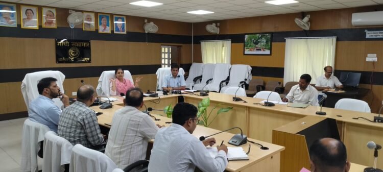 भूमाफियाओ के खिलाफ जिलाधिकारी ने अभियान चलाने के दिए निर्देश