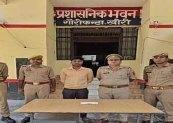 **फास्ट फूड दुकान से नगदी चोरी का खुलासा, गौरीफण्टा पुलिस ने वांछित* *अभियुक्त को किया गिरफ्तार*